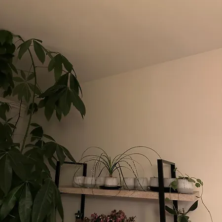 Perfect Space